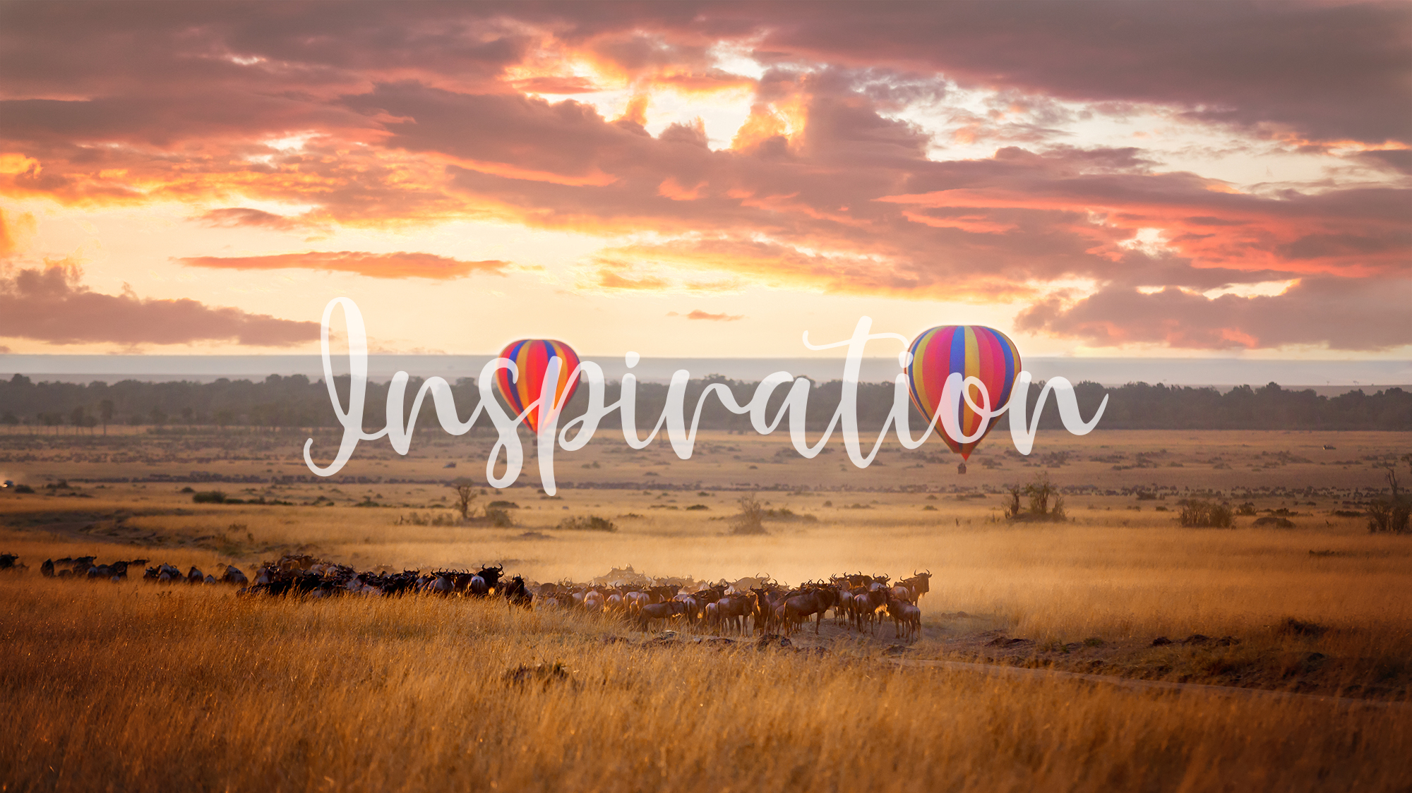 shutterstock_695146399—Mara