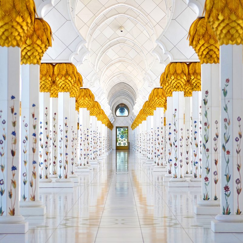 shutterstock_273468611_edit-800×800