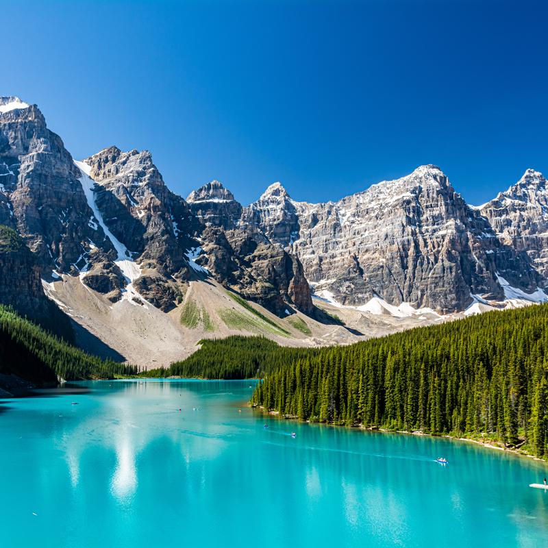 shutterstock_1476866282