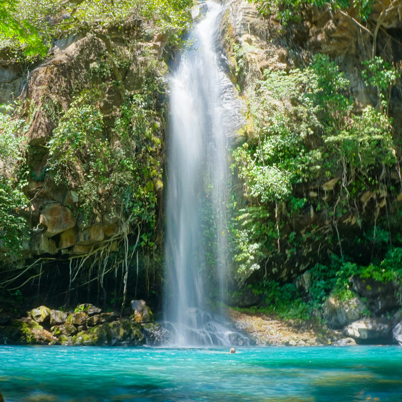 shutterstock_691933309